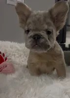 processed/5322b009-ca78-41e7-adec-a269953edce6/listing/8e1c26ab-910e-4076-b1e1-664d062918d2/b38e3efc-dc51-4433-8ee3-ff11fd630a66