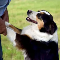 processed/532e715f-2ff2-427b-a7e4-6c7c228510c2/facility/0e0d5d86-c7be-4898-9e7c-6a5980ce33cf