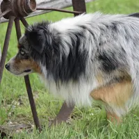 processed/532e715f-2ff2-427b-a7e4-6c7c228510c2/facility/47d20e30-ab17-46f1-af0d-c247c71fbabb