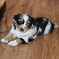 processed/532e715f-2ff2-427b-a7e4-6c7c228510c2/facility/76032d26-6c2a-4e42-b2e3-c1560c4b5b95