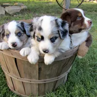 processed/532e715f-2ff2-427b-a7e4-6c7c228510c2/facility/7df16fdd-e2b6-41c3-8772-2c3fee8c7a80