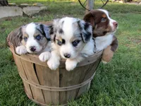 processed/532e715f-2ff2-427b-a7e4-6c7c228510c2/facility/7df16fdd-e2b6-41c3-8772-2c3fee8c7a80