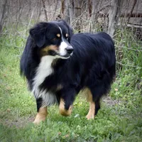 processed/532e715f-2ff2-427b-a7e4-6c7c228510c2/listing/196fd5eb-0de3-4eb5-be8c-2b65f17f8863/93866d57-6b5a-49a2-b0f0-9a117b718352