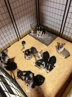 Facility photo