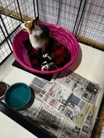 Facility photo