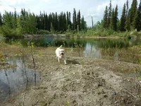 processed/5331c084-9954-474d-91bd-abb0098dd944/facility/f86e3bb7-337b-46b1-bf62-d67dcce2acb8