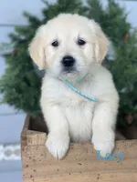 processed/533c7076-6113-4ad3-abb6-a4ffdcf2fb49/facility/18b2d035-855c-4cb5-b321-1179b78ce609