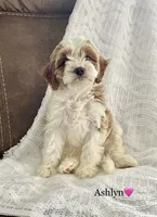 processed/533c7076-6113-4ad3-abb6-a4ffdcf2fb49/facility/3633ff4a-920d-442d-9062-4f7b5cad17d2