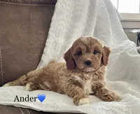 processed/533c7076-6113-4ad3-abb6-a4ffdcf2fb49/facility/7129b37b-a1fd-4492-8e79-60e2f6cc0a3c