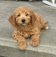 processed/533c7076-6113-4ad3-abb6-a4ffdcf2fb49/facility/95573272-def5-4c73-8b54-acb4ce376c3f