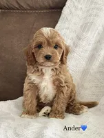 processed/533c7076-6113-4ad3-abb6-a4ffdcf2fb49/facility/b5c4a606-22ee-449e-a297-8d989bf0000f