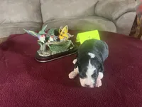 processed/533fa701-535b-4c3e-9abe-72ea1d034cce/listing/03325040-220a-471b-97d1-dc3739a715b3/0ec8a7d6-ffe3-477f-860c-bd8078ce4308