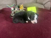 processed/533fa701-535b-4c3e-9abe-72ea1d034cce/listing/03325040-220a-471b-97d1-dc3739a715b3/386e1638-90b0-4a6a-a67e-abd3db5cf27b