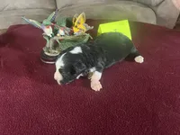 processed/533fa701-535b-4c3e-9abe-72ea1d034cce/listing/03325040-220a-471b-97d1-dc3739a715b3/486ebb97-ae84-4fdd-8f09-730f81702797