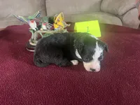 processed/533fa701-535b-4c3e-9abe-72ea1d034cce/listing/03325040-220a-471b-97d1-dc3739a715b3/5fa16581-ed13-4fc1-850d-17065240e39e