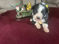 processed/533fa701-535b-4c3e-9abe-72ea1d034cce/listing/03325040-220a-471b-97d1-dc3739a715b3/60767ddc-9fd3-41d5-9563-d1be0e0ca870