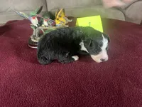 processed/533fa701-535b-4c3e-9abe-72ea1d034cce/listing/03325040-220a-471b-97d1-dc3739a715b3/b0eaae41-0f8a-492f-b0f2-0a7a3e9ac23b