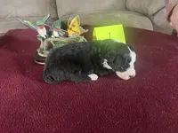 processed/533fa701-535b-4c3e-9abe-72ea1d034cce/listing/03325040-220a-471b-97d1-dc3739a715b3/c43d2c92-e893-4f2e-b04a-db33c0dce5ef