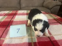 processed/533fa701-535b-4c3e-9abe-72ea1d034cce/listing/22fe959f-cf8e-4b7d-b9f9-87b3ce969ac7/2109ee3c-dd0d-4546-b240-51308bde6ac0