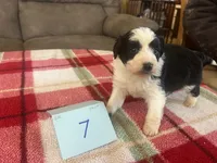 processed/533fa701-535b-4c3e-9abe-72ea1d034cce/listing/22fe959f-cf8e-4b7d-b9f9-87b3ce969ac7/2357a4f4-bb15-4625-9188-4aae2ceb1359