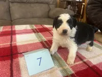 processed/533fa701-535b-4c3e-9abe-72ea1d034cce/listing/22fe959f-cf8e-4b7d-b9f9-87b3ce969ac7/5ed27f38-5e31-403e-9113-ecbaee3beee1