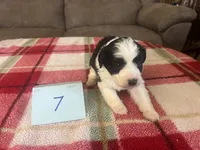 processed/533fa701-535b-4c3e-9abe-72ea1d034cce/listing/22fe959f-cf8e-4b7d-b9f9-87b3ce969ac7/9f181ae6-739c-46c9-a8ac-aaf59a29407b