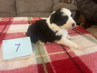 processed/533fa701-535b-4c3e-9abe-72ea1d034cce/listing/22fe959f-cf8e-4b7d-b9f9-87b3ce969ac7/cbfdd86d-c86f-4a30-bde4-56b984285b98