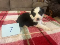 processed/533fa701-535b-4c3e-9abe-72ea1d034cce/listing/22fe959f-cf8e-4b7d-b9f9-87b3ce969ac7/d65ce80e-688f-4e21-b3dd-bf1b3ca20d4e