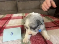 processed/533fa701-535b-4c3e-9abe-72ea1d034cce/listing/851c002f-47d1-46a4-8f6c-2227507c1aaf/1a96b7ad-7dc9-461b-b479-faf9a0818825