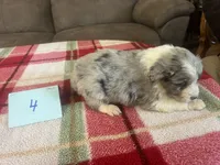 processed/533fa701-535b-4c3e-9abe-72ea1d034cce/listing/851c002f-47d1-46a4-8f6c-2227507c1aaf/496e7d7f-58c2-421b-8216-431b9e94f045