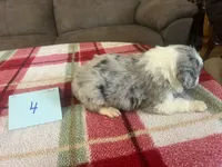 processed/533fa701-535b-4c3e-9abe-72ea1d034cce/listing/851c002f-47d1-46a4-8f6c-2227507c1aaf/89666b0f-0b26-4340-b780-1bec6507af79