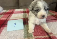 processed/533fa701-535b-4c3e-9abe-72ea1d034cce/listing/851c002f-47d1-46a4-8f6c-2227507c1aaf/d9a829ad-ac03-4dea-a90b-56aa20f0d010