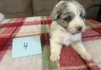 processed/533fa701-535b-4c3e-9abe-72ea1d034cce/listing/851c002f-47d1-46a4-8f6c-2227507c1aaf/fce65e71-c14c-4afa-a8fc-c3877378ac7b