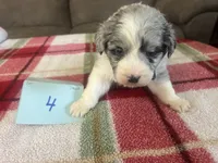 processed/533fa701-535b-4c3e-9abe-72ea1d034cce/listing/851c002f-47d1-46a4-8f6c-2227507c1aaf/fed62c2d-dfdd-435a-8037-51d98f9bd20d