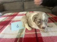 processed/533fa701-535b-4c3e-9abe-72ea1d034cce/listing/db17b27c-b7ce-4a59-8125-d4f37d6443f5/1040e044-7998-4da5-80e0-c2dbbed80248