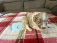 processed/533fa701-535b-4c3e-9abe-72ea1d034cce/listing/db17b27c-b7ce-4a59-8125-d4f37d6443f5/2dedd937-0c1a-4889-a31c-8d2c9d1c3337