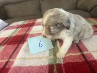 processed/533fa701-535b-4c3e-9abe-72ea1d034cce/listing/db17b27c-b7ce-4a59-8125-d4f37d6443f5/35e3a152-759e-4431-ba6f-b58025b25dee