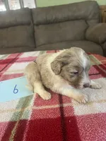 processed/533fa701-535b-4c3e-9abe-72ea1d034cce/listing/db17b27c-b7ce-4a59-8125-d4f37d6443f5/37c27497-a6a1-4390-b2da-4921396a7604