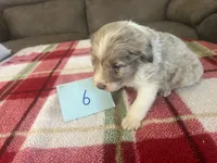 processed/533fa701-535b-4c3e-9abe-72ea1d034cce/listing/db17b27c-b7ce-4a59-8125-d4f37d6443f5/e2bf3421-0f8d-4724-8bc1-b1c77f5420aa