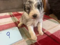 processed/533fa701-535b-4c3e-9abe-72ea1d034cce/listing/e2752a75-de5b-498c-a6f2-78cab91ae7fd/867f309e-30d9-47a6-9205-6df61b8ea2f7