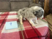 processed/533fa701-535b-4c3e-9abe-72ea1d034cce/listing/e2752a75-de5b-498c-a6f2-78cab91ae7fd/885d1211-8f0a-492c-88c8-015209dea2a5