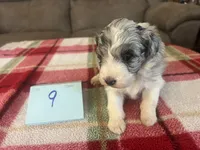 processed/533fa701-535b-4c3e-9abe-72ea1d034cce/listing/e2752a75-de5b-498c-a6f2-78cab91ae7fd/94ded257-c3b5-4f66-bde4-6c5a675f1bfc