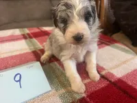 processed/533fa701-535b-4c3e-9abe-72ea1d034cce/listing/e2752a75-de5b-498c-a6f2-78cab91ae7fd/9ce5488b-0000-4038-b210-6329f9ccd3fa