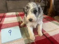 processed/533fa701-535b-4c3e-9abe-72ea1d034cce/listing/e2752a75-de5b-498c-a6f2-78cab91ae7fd/a6538ebb-6766-465e-8573-4fa5b462bf27