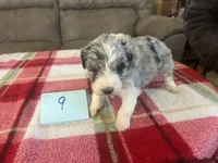 processed/533fa701-535b-4c3e-9abe-72ea1d034cce/listing/e2752a75-de5b-498c-a6f2-78cab91ae7fd/e7aa0da5-f690-4b57-8594-e05fccafe7ef