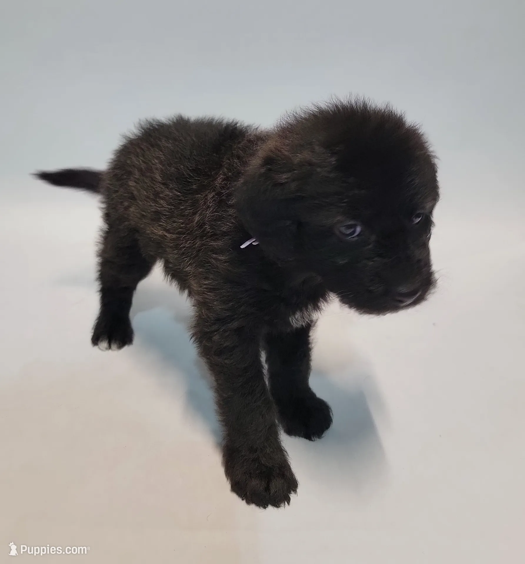 processed/534664cd-96b8-4b8d-81d8-717c45f19877/listing/1335ee35-8f61-4469-835f-df07208cb2ad/c35cbc20-5a4e-4e46-a949-d8ff5a9afa00