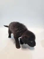 processed/534664cd-96b8-4b8d-81d8-717c45f19877/listing/1335ee35-8f61-4469-835f-df07208cb2ad/d261280f-63d6-421f-af10-46af90514f13