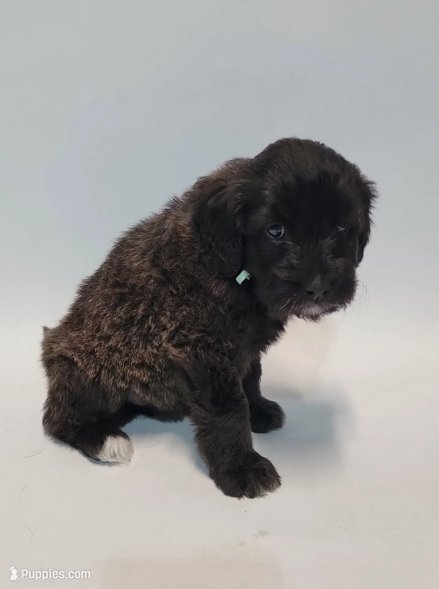 processed/534664cd-96b8-4b8d-81d8-717c45f19877/listing/60d9aa02-7d62-433f-82f1-74b9f960cd06/2e420921-dec3-4cb8-a906-3e58c51a4833