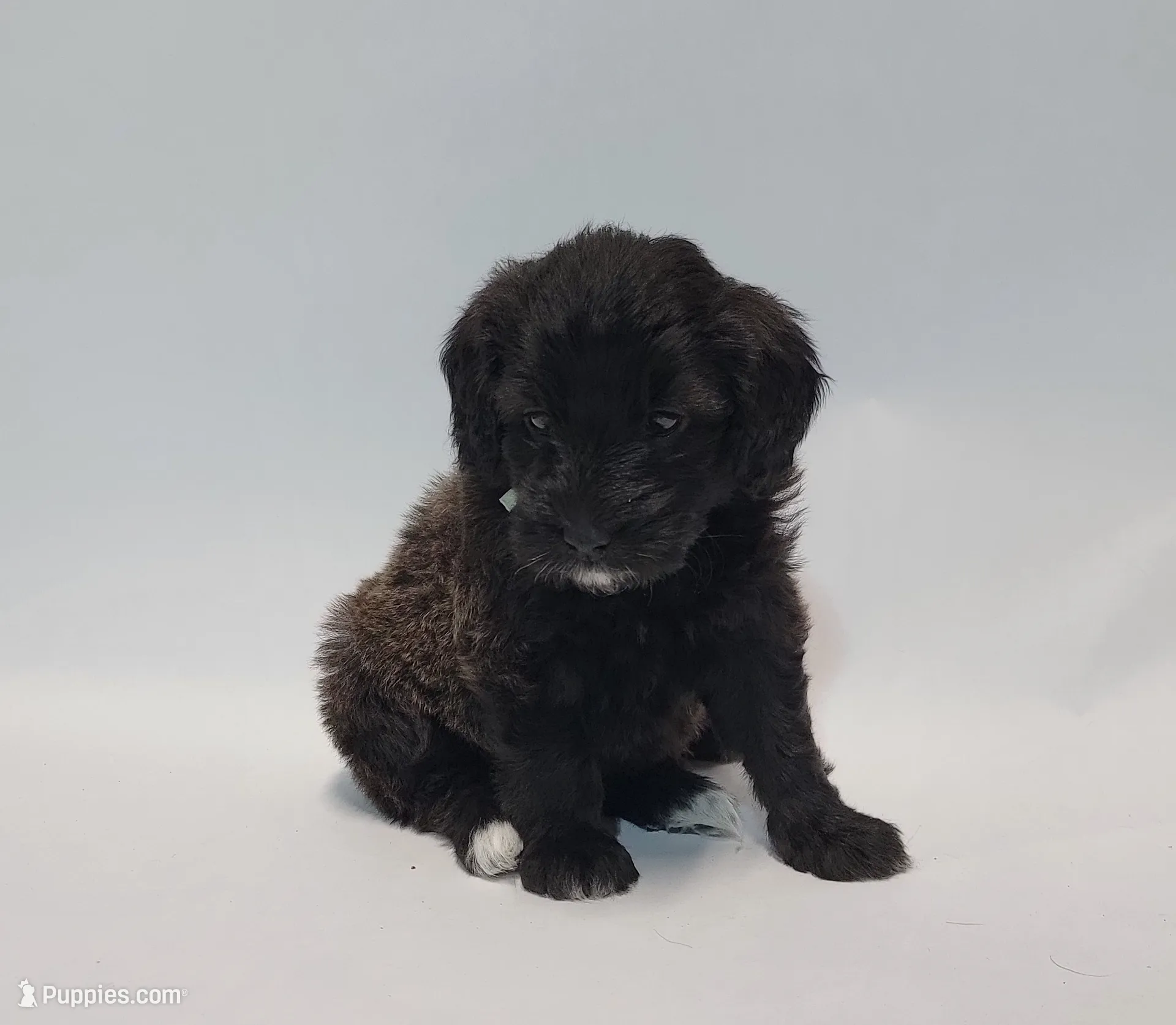 processed/534664cd-96b8-4b8d-81d8-717c45f19877/listing/60d9aa02-7d62-433f-82f1-74b9f960cd06/434940cf-8d31-4092-b1a3-faee4b6dffea