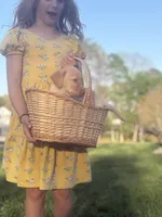 Lady , a female Labrador Retriever for sale in Charlotte, NC – Photo 4 of 8